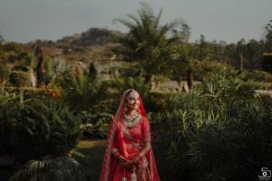 Photos by Safarsaga Films